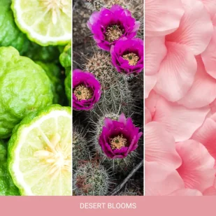 Yankee Candle Świeca Zapachowa Słoik Średni Desert Blooms - Świece - miniaturka - grafika 2