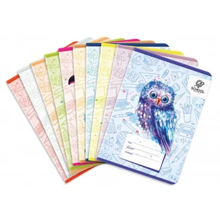 Zeszyt A5 Puffy Birds linia 32 kartki 10 szt. - Zeszyty szkolne - miniaturka - grafika 1