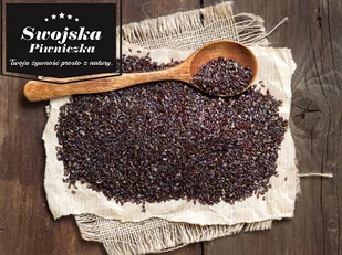 Płesznik Nasiona [HURT] - 25 kg - [Cena] - Orzechy i nasiona - miniaturka - grafika 1