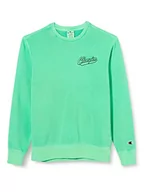 Bluzy męskie - Champion Bluza męska, Zielona trawa (Adtf), S - miniaturka - grafika 1