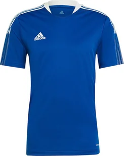Adidas Koszulka męska adidas Tiro 21 Training GM7589 M - Koszulki męskie - miniaturka - grafika 1