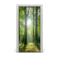 Naklejki na ścianę - Naklejka fototapeta na drzwi Słońce w lesie, Tulup - miniaturka - grafika 1