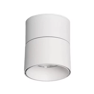 Natynkowa lampa spot Estetica ABR-LPR-15W-B-WW Abruzzo LED 15W 2700-3200K biały - Lampy sufitowe - miniaturka - grafika 1