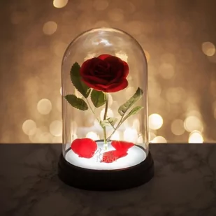 Disney Enchanted Rose Light: P. derive PP4344DP - Latarki - miniaturka - grafika 1
