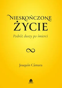 Nieskończone życie Podróż duszy po śmierci - E-booki - nauka - miniaturka - grafika 1