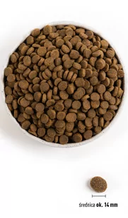 ACANA Pacifica Dog 2kg - Sucha karma dla psów - miniaturka - grafika 4