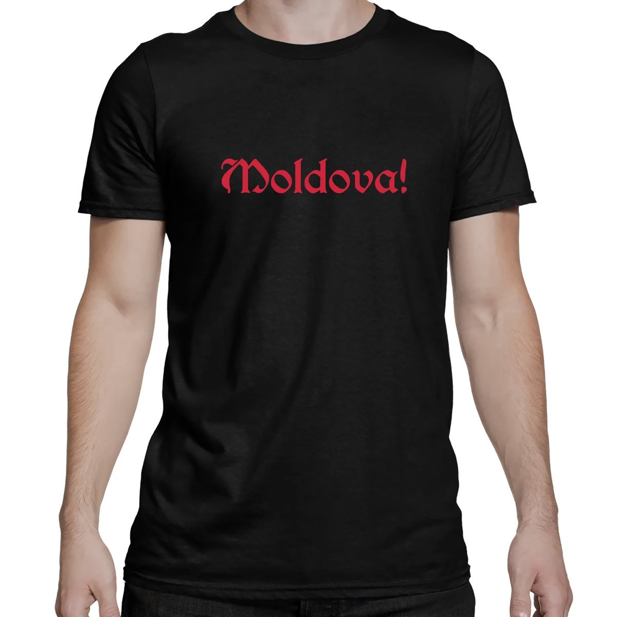Moldova! - męska koszulka na prezent dla fanów serialu 1670 Czarny S