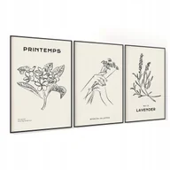 Dekoracje domu - DEKORACJA DO POKOJU BOHO ZESTAW PLAKATÓW A3 PLAKAT PLAKAT W RAMIE NA ŚCIANĘ - miniaturka - grafika 1