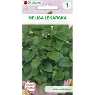 Nasiona i cebule - Melisa lekarska W.Legutko - miniaturka - grafika 1