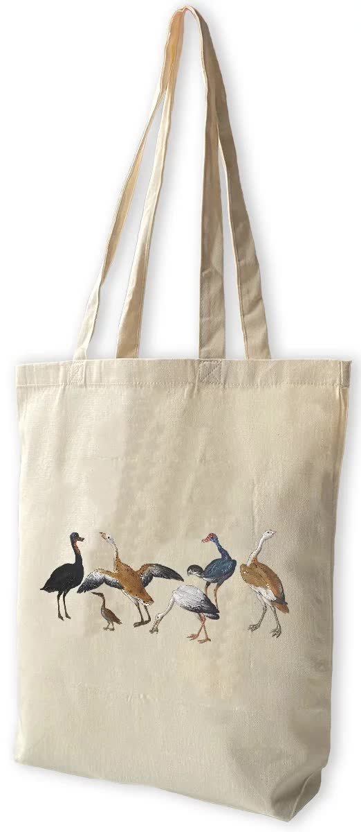 Torba bawełniana Czaple i kaczki na rzece Jan van Kessel (starszy)