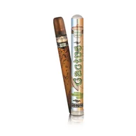 Wody i perfumy męskie - Cuba Mexico Cactus Woda toaletowa 35ml - miniaturka - grafika 1