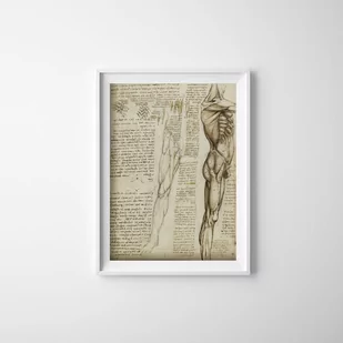 Plakat w stylu retro Da Vinci Mięśnie nóg - Plakaty - miniaturka - grafika 1