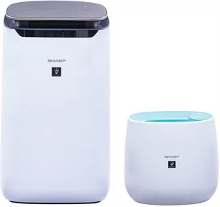 Sharp FP-J80EU-W - Oczyszczacze powietrza - miniaturka - grafika 2