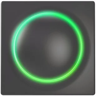 Fibaro Inteligentny włącznik Walli Switch antracytowy - Systemy inteligentnych domów - miniaturka - grafika 1