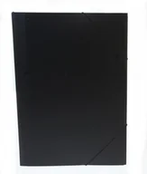 Teczki i skoroszyty - Durable Teczka z gumką PP Pagna A3 przezroczysta A2163819 - miniaturka - grafika 1