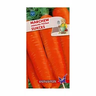 Nasiona i cebule - Marchew Sukces późna nasiona 5g / O / - miniaturka - grafika 1