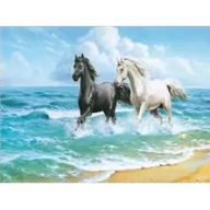 Zabawki kreatywne - Jupiter Diamentowa mozaika Konie na plaży 60603 - miniaturka - grafika 1