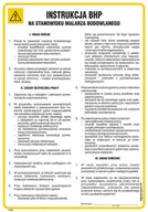 Instrukcje stanowiskowe BHP - IAF05 INSTRUKCJA BHP NA STANOWISKU MALARZA BUDOWLANEGO, FN - FOLIA SAMOPRZYLEPNA; (245X350MM) - miniaturka - grafika 1