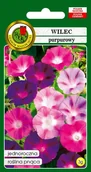 Nasiona i cebule - Wilec Mieszanka 3 g PNOS - miniaturka - grafika 1