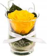 Sztuczne kwiaty - WIECZNA ZAKONSERWOWANA PRAWDZIWA RÓŻA W SZKLANYM WAZONIE RĘCZNIE WYKONANA - miniaturka - grafika 1