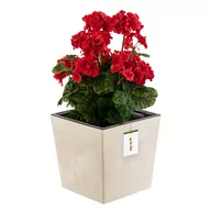 Donice - Doniczka skrzynka beton efekt kremowy wkład 14 L - miniaturka - grafika 1