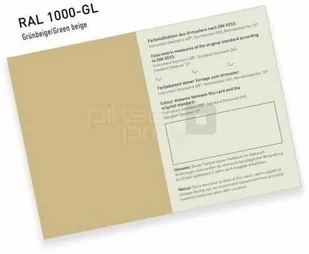 Pojedyncza karta RAL 841 GL  Błyszczące wykończenie - Akcesoria do reklamy - miniaturka - grafika 1