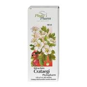 Serce i układ krążenia - PhytoPharm Intractum Crataegi 100 ml - miniaturka - grafika 1