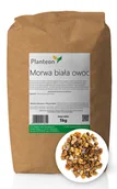 Owoce świeże i suszone - Planteon Morwa biała owoc 5kg 2-0293-01-6 - miniaturka - grafika 1