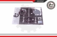 Układ zasilania - akcesoria - Zestaw naprawczy, zawór AGR Esen SKV 14SKV539 - miniaturka - grafika 1