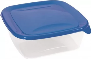 Pojemnik kwadratowy Fresh&Go 0,8 l - Pudła i pojemniki do przechowywania - miniaturka - grafika 1