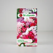 Nasiona i cebule - W. legutko sp. z o.o Nasiona Godecja, Azalia letnia mieszanka, 1g - miniaturka - grafika 1