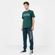 Spodnie sportowe męskie - Męskie spodnie dresowe CHAMPION ROCHESTER Rib Cuff Pants - miniaturka - grafika 1
