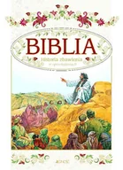 Religia i religioznawstwo - Jedność praca zbiorowa Biblia Historia zbawienia w opowiadaniach Mały format w etui pudełku - miniaturka - grafika 1