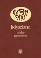 Podręczniki dla szkół wyższych - Jidyszland - Polskie Przestrzenie - miniaturka - grafika 1