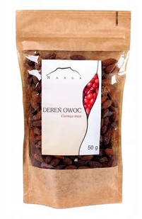 Dereń Owoc Na Odporność Nanga 50G - Nasiona i cebule - miniaturka - grafika 1