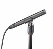 Mikrofony estradowe - Audio Technica AT2031 Cardioid Condenser Microphone - miniaturka - grafika 1