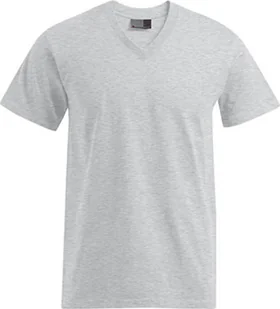 Koszulka męska Promodoro 3025 Premium V-Neck - Kolor: Sportowy szary (wrzosowy) - Rozmiar: M - Koszulki męskie - miniaturka - grafika 1