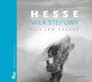 Wilk stepowy - Audiobooki - literatura piękna - miniaturka - grafika 1