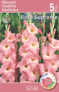 Mieczyk Rose Supreme 5szt. cebulki kwiatów - Nasiona i cebule - miniaturka - grafika 1