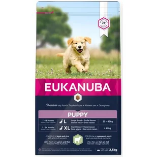 Eukanuba Puppy Junior Jagnięcina 2,5 kg - Sucha karma dla psów - miniaturka - grafika 1