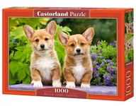 Puzzle - Puzzle 1000 Szczenięta Welsh Corgi C-104659-2 - miniaturka - grafika 1