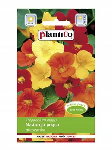 Plantico Nasturcja większa mix - Nasiona i cebule - miniaturka - grafika 1