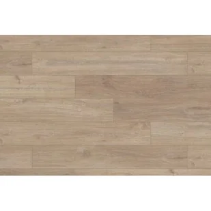 Krono Original Panel podłogowy Dąb Khaki AC4 8 mm - Panele podłogowe - miniaturka - grafika 1