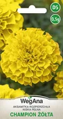Nasiona i cebule - Aksamitka rozpierzchła - niska, pełna Champion żółta 0,5g - miniaturka - grafika 1