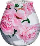 Świece - Bispol świeca w szkle B-lite sn72s-01 piwonia 5906927025711 - miniaturka - grafika 1