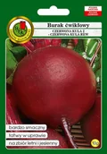 Nasiona i cebule - NASIONA BURAK ĆWIKŁOWY CZERWONA KULA 10G - miniaturka - grafika 1