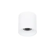 Oprawy, klosze i abażury - Oprawa natynkowa spot LED 15W ALTISMA CLN-6677-95-WH-4K Italux - miniaturka - grafika 1