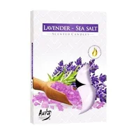 Świece - Podgrzewacz zapachowy lawenda/sól morska 6 sztuk Bispol - miniaturka - grafika 1