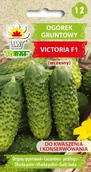 Nasiona i cebule - Ogórek VICTORIA F1 (wczesny) Cucumis sativus L. - miniaturka - grafika 1