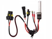 Żarówki samochodowe - Żarówka ksenonowa do samochodu H1 4300K 85V 35W - miniaturka - grafika 1